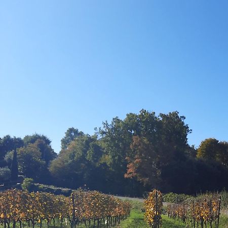 إيربوسكو Acero Rosso B&B In Franciacorta المظهر الخارجي الصورة
