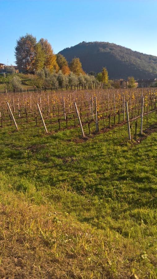 إيربوسكو Acero Rosso B&B In Franciacorta المظهر الخارجي الصورة