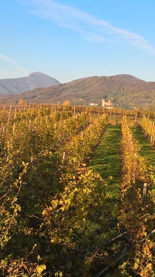 إيربوسكو Acero Rosso B&B In Franciacorta المظهر الخارجي الصورة