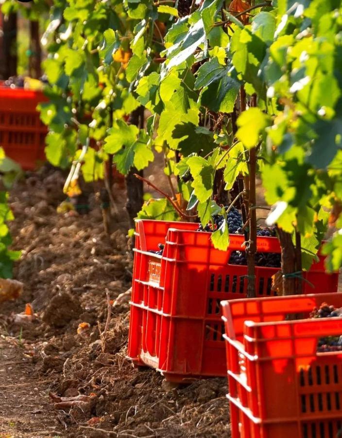 إيربوسكو Acero Rosso B&B In Franciacorta المظهر الخارجي الصورة