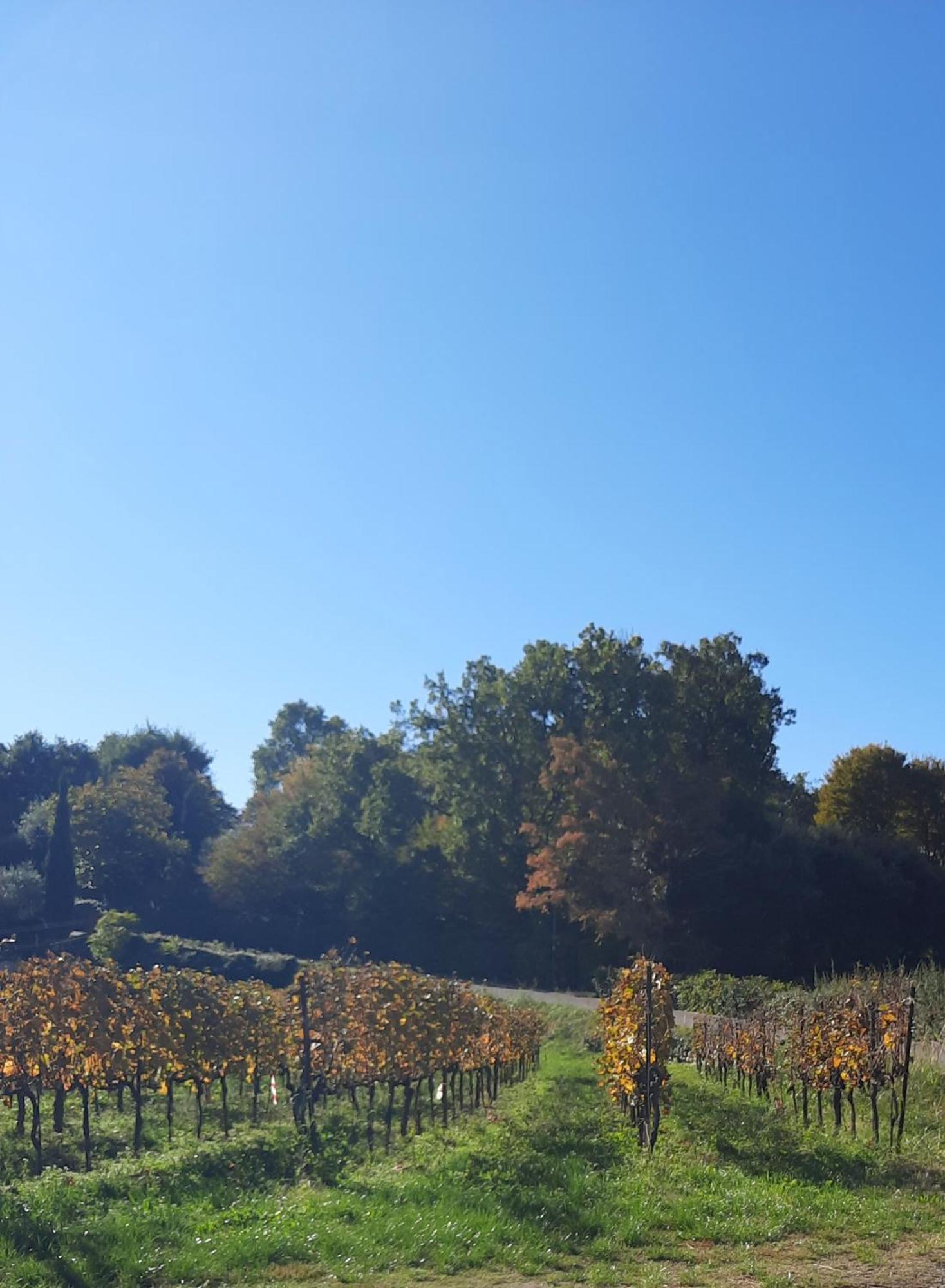 إيربوسكو Acero Rosso B&B In Franciacorta المظهر الخارجي الصورة
